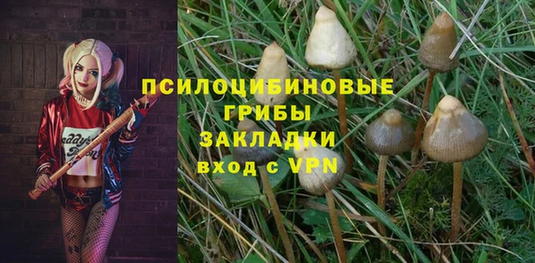 кокс Козловка