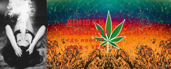PSILOCYBIN Козельск