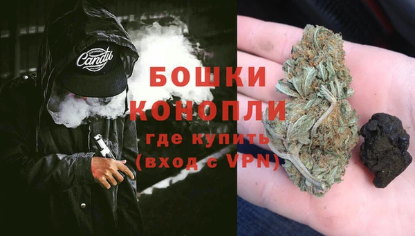 гидра Киреевск